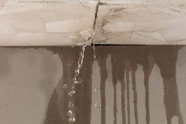 Professional Burst Pipe Cleanup technician working in Pitsburg, OH